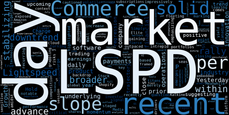 WordCloud for Lightspeed Commerce