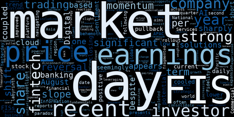WordCloud for Fidelity National Information Services