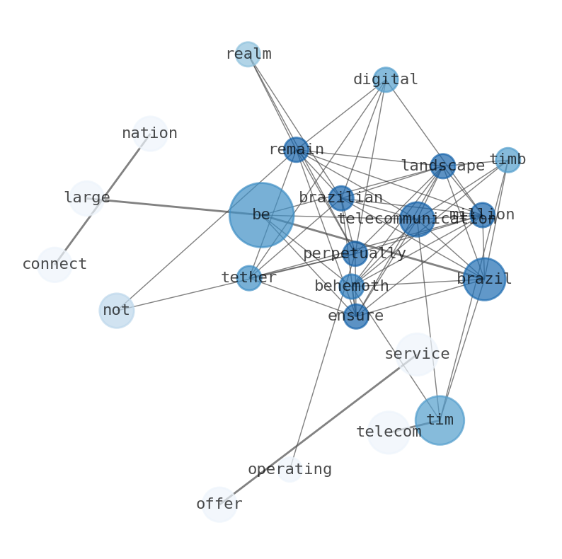 Semantic Network for TIM S.A. (TIMB)