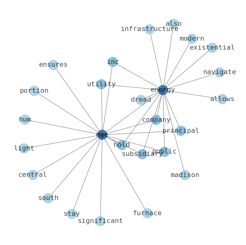 Concept map for MGE Energy (MGEE)