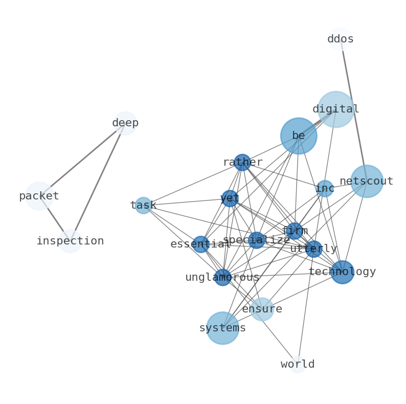 Semantic Network for NetScout Systems (NTCT)
