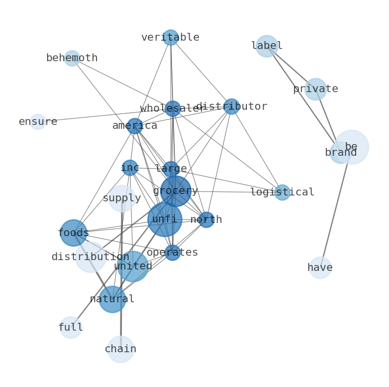 Semantic Network for United Natural Foods (UNFI)