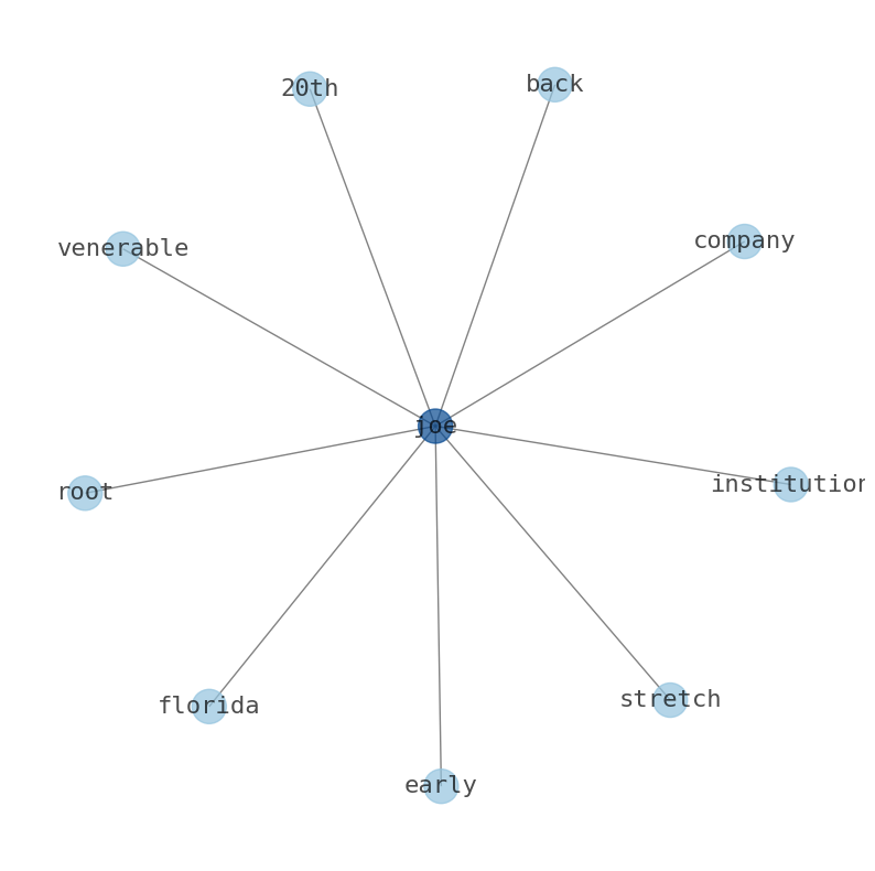 Concept map for The St. Joe Company (JOE)