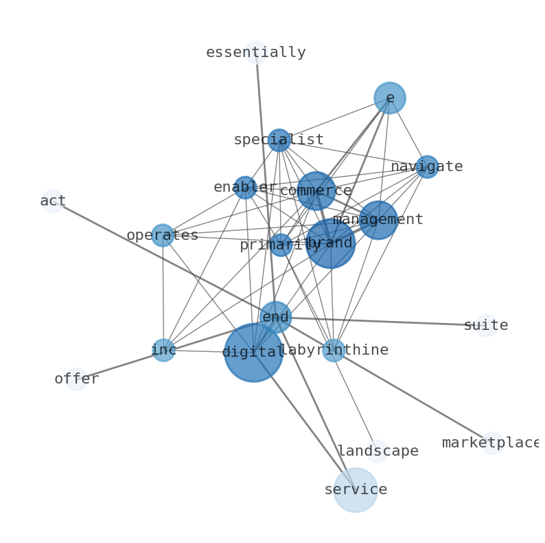 Semantic Network for Baozun (BZUN)
