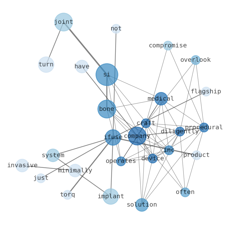 Semantic Network for SI-BONE (SIBN)