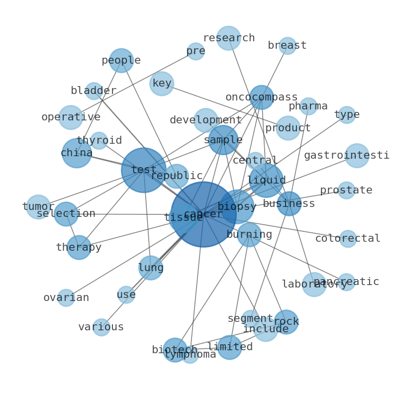 Semantic Network for Burning Rock Biotech (BNR)