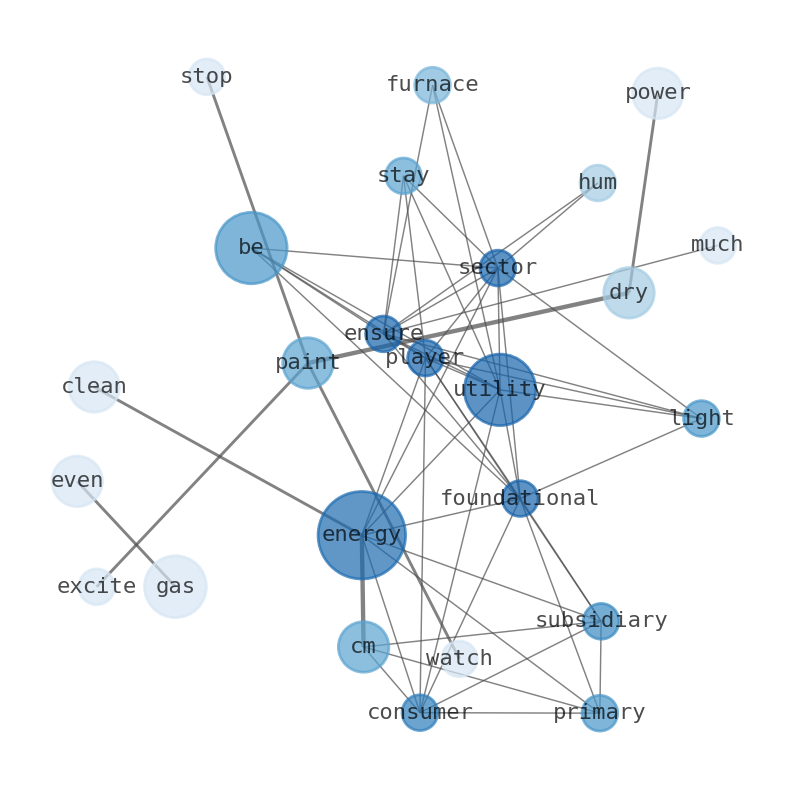 Semantic Network for CMS Energy (CMS)